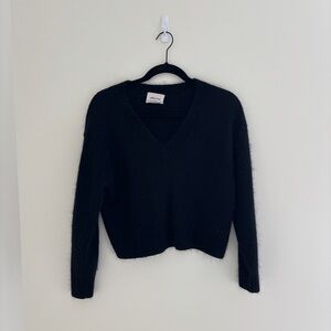 Aritzia (Wilfred Free) V Neck Sweater